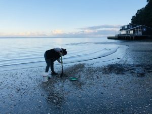 Dani the vet searching for crabs. 